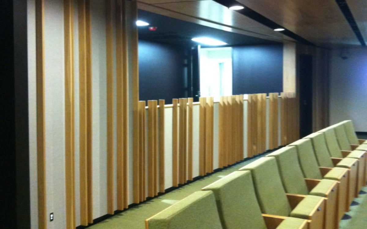 Acoustics in Cinema and Theatre