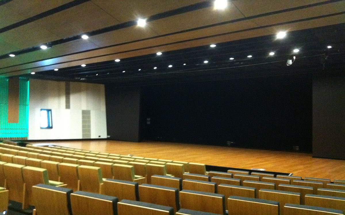 Acoustics in Cinema and Theatre