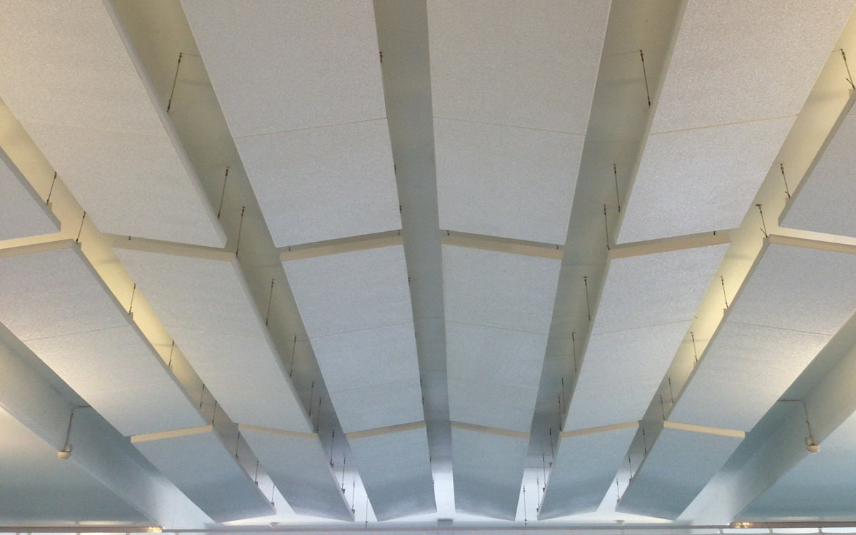Acoustics in Aquatics