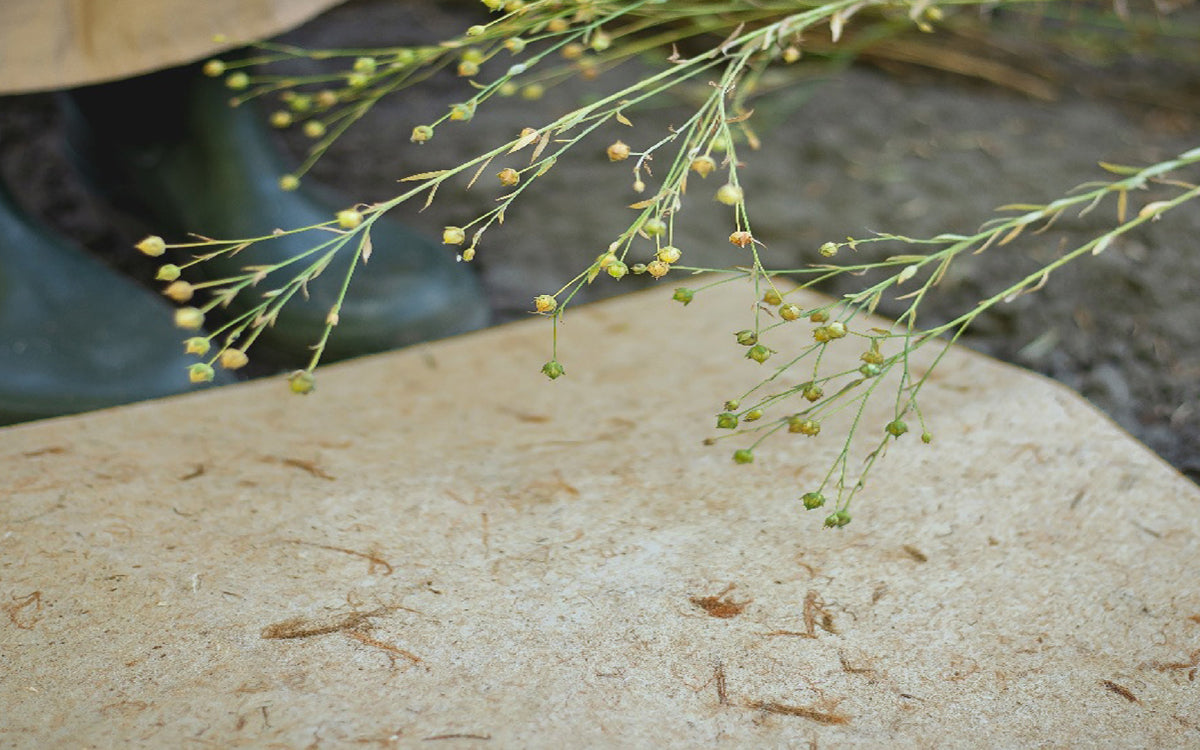 Ecoustic Bio Tile