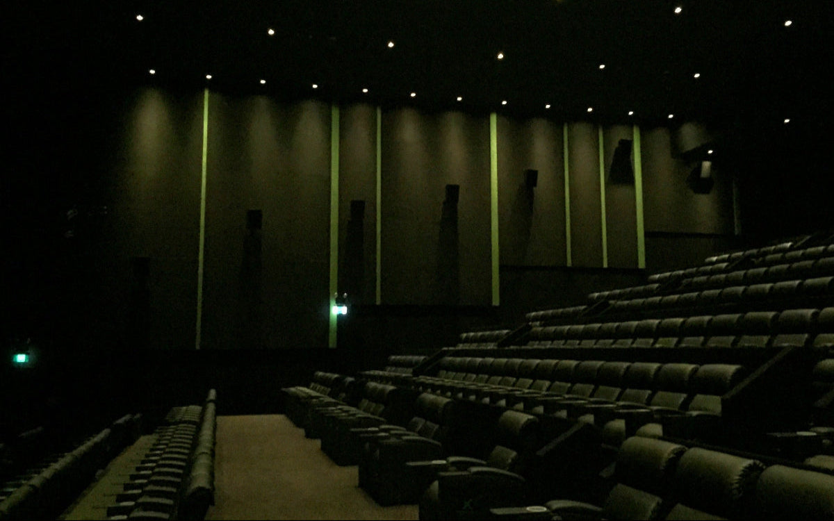 Acoustics in Cinema and Theatre