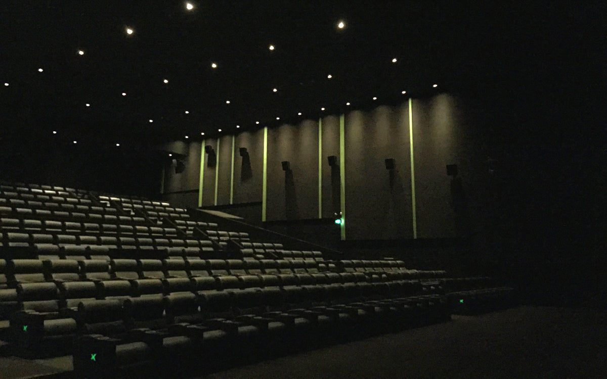 Acoustics in Cinema and Theatre