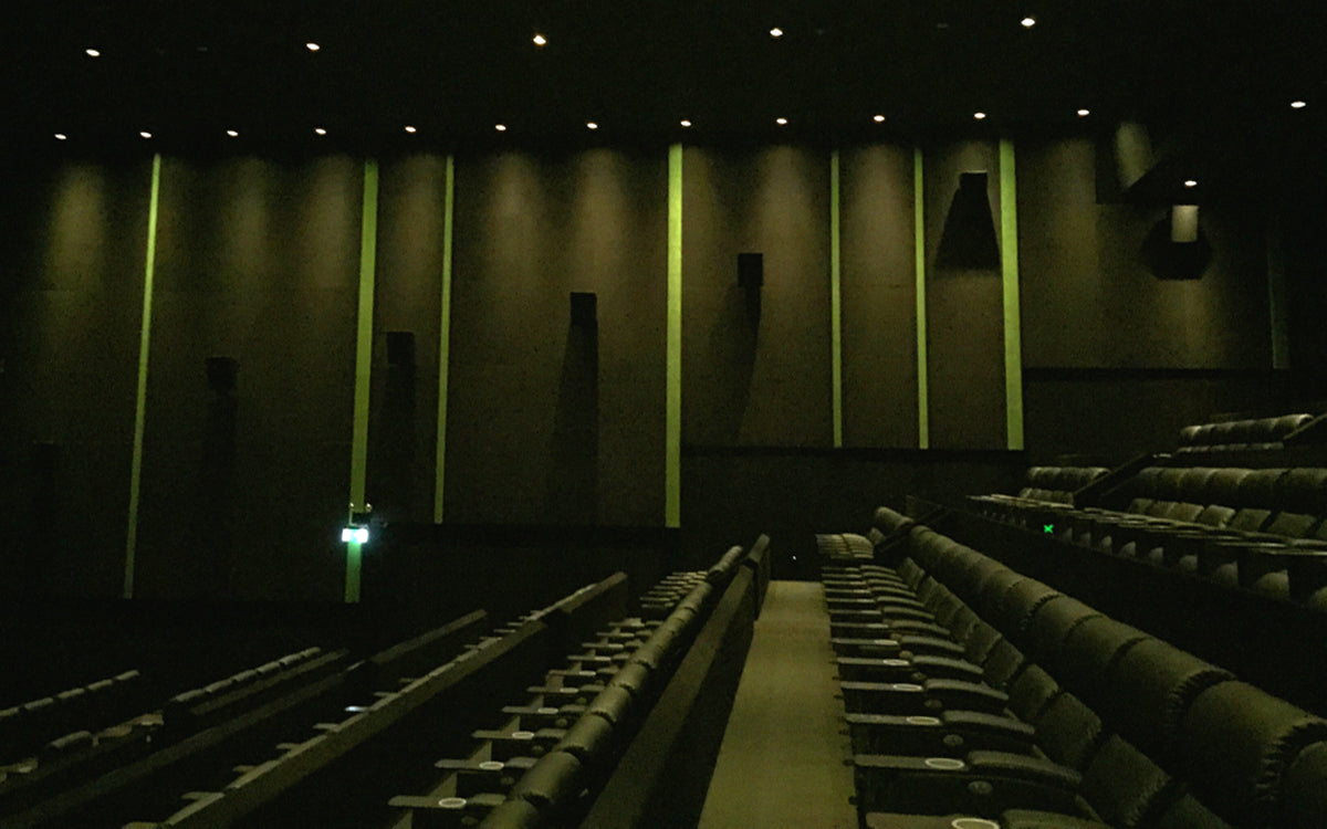Acoustics in Cinema and Theatre