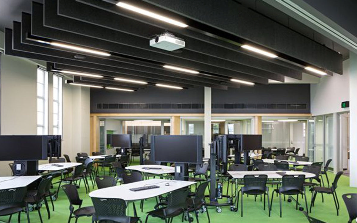 Acoustics in Education