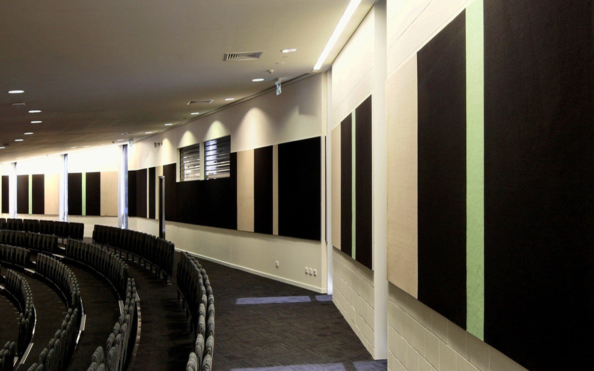 Acoustics for Universities
