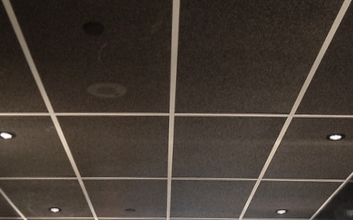 Quietfoam® W Waterproof ceiling tile